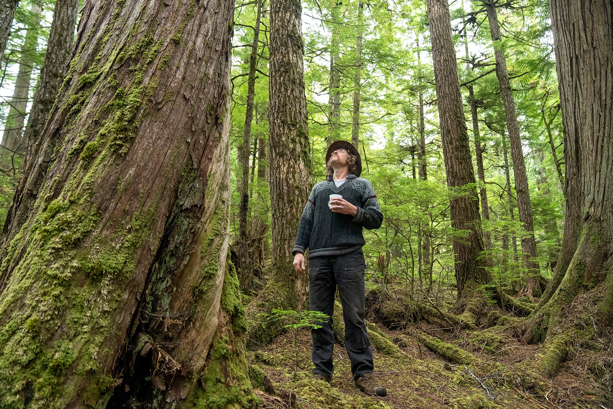 A man wearing jeans and a sweatshirt holds a coffee mug in his hand and looks up at the large green trees that surround him.