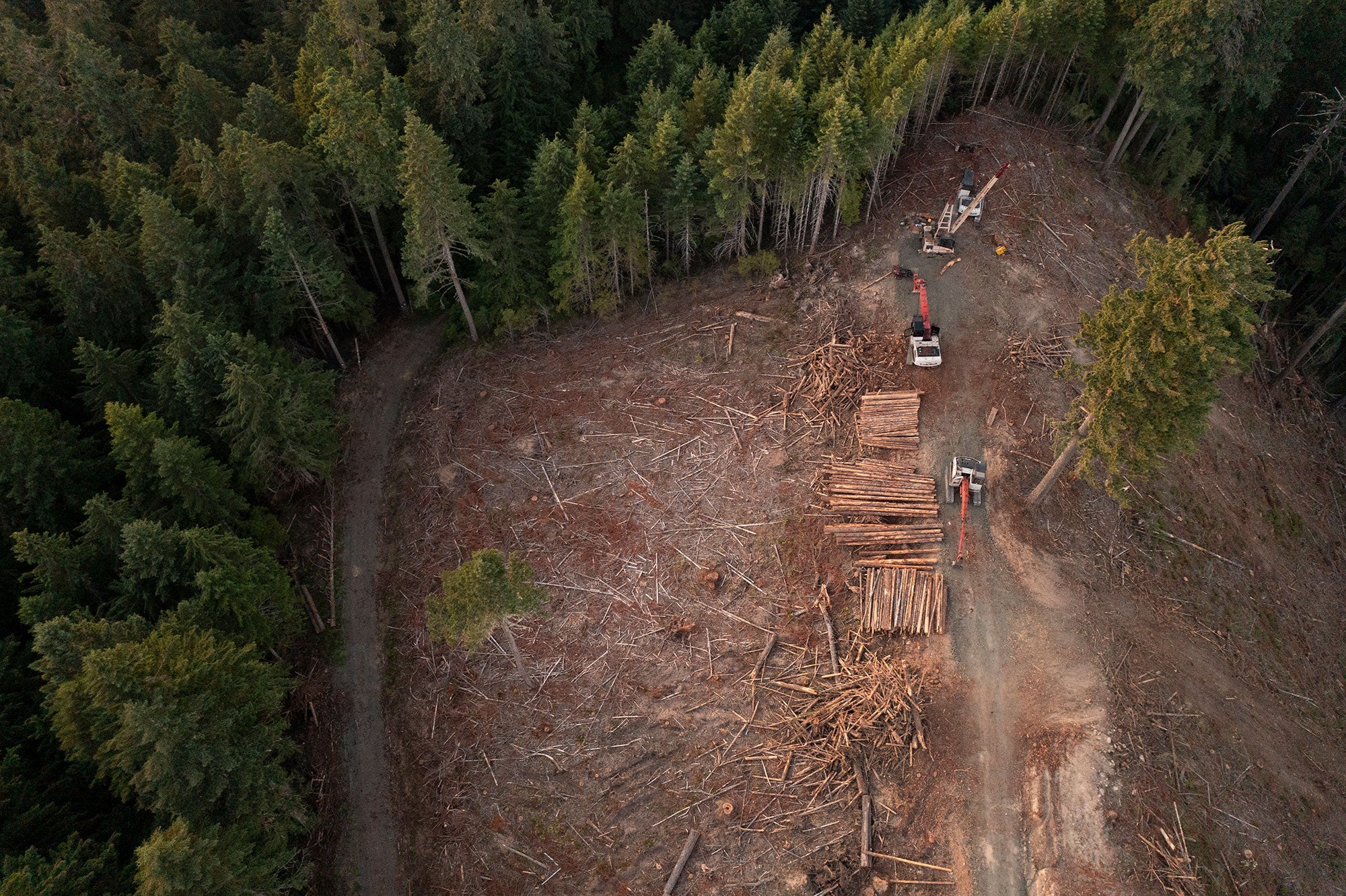 Aerial view of the Galagher Canyon commercial logging operation in Oregon on July 6, 2025.