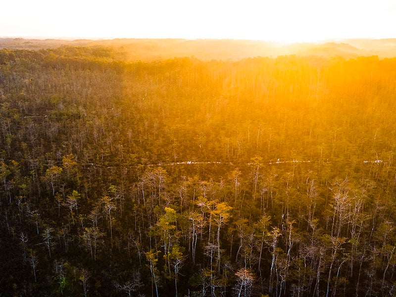 Aerial view of the Big Cypress National Preserve in South Florida on October 13, 2021.