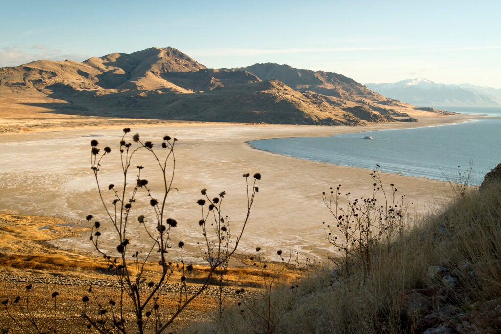 A wide landscape photo of a large brown beach where the lake used to be