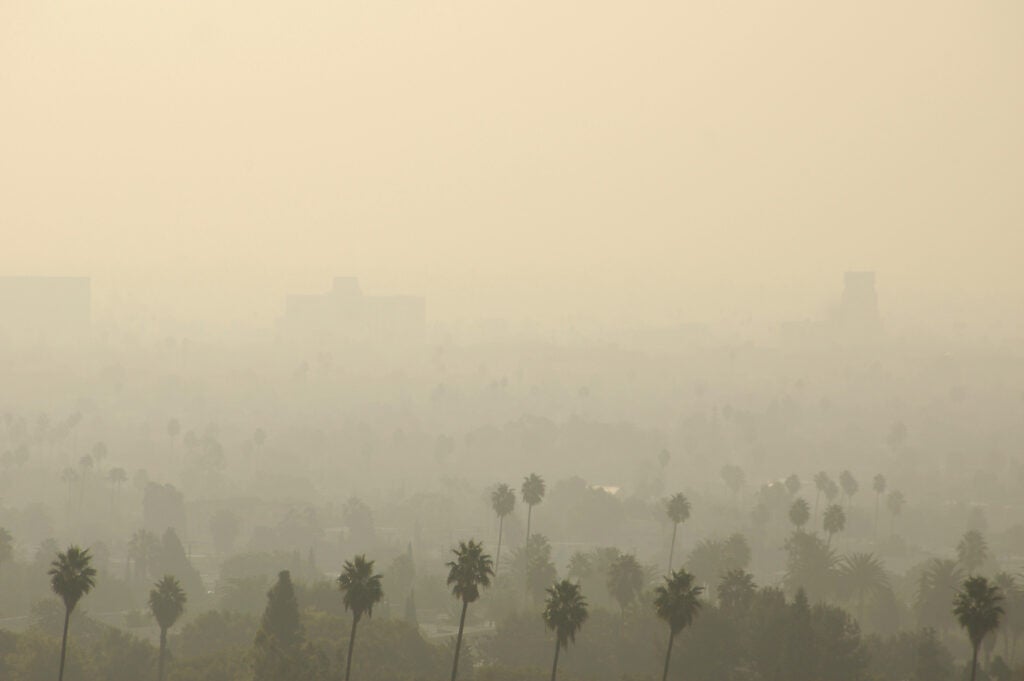 Los Angeles Smog