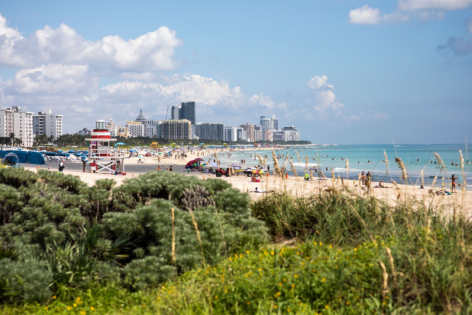 A view of the white sands and turquoise waters of the beach on a sunny day under gentle, puffy white clouds. The beach is crowded with beach-goers and beach umbrellas on the sand, and with swimmers in the water, from behind a low row of green bushes. The skyline of Miami buildings is in the background.