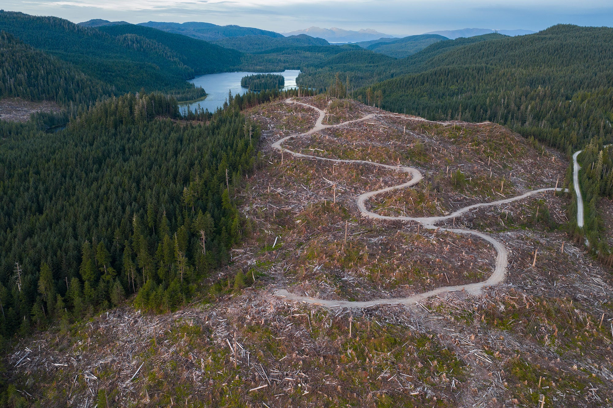 View of a clearcut on Alaska Mental Health Trust land on Prince of Wales Island near Twin Island Lake and Whale Pass, Alaska.
