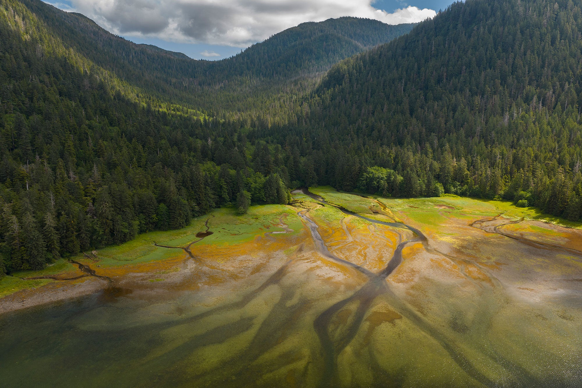 Tongass National Forest, Kuiu Island, Prince of Wales Island, Alaska.